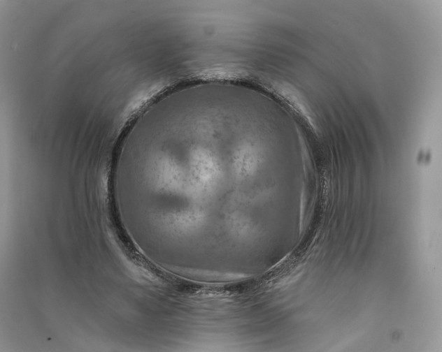 X0000090930491200708131456