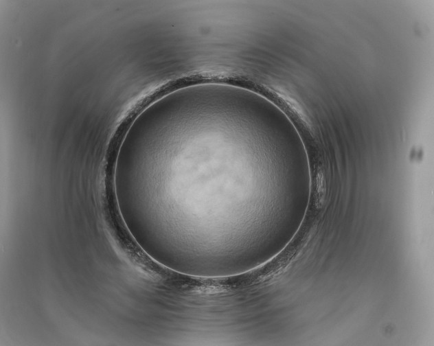 X0000090930492200708131456