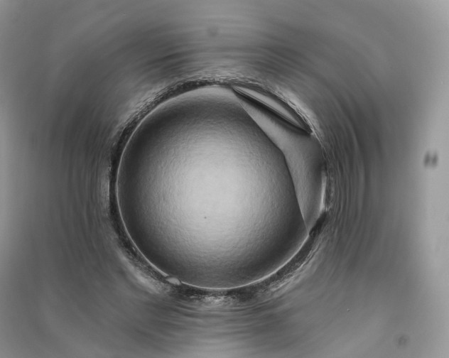 X0000090930493200708131456