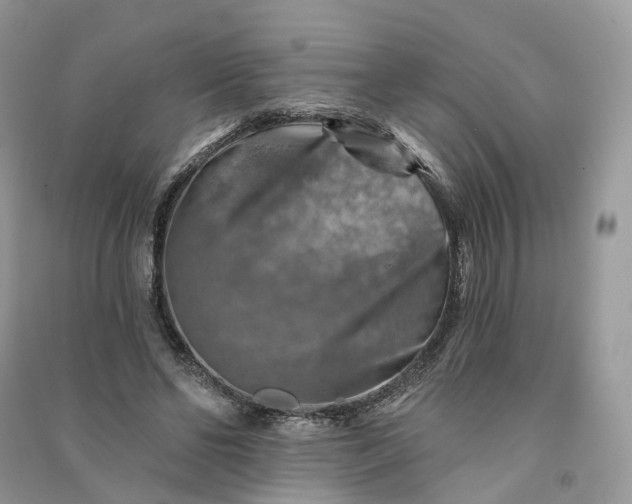 X0000090930494200708131456