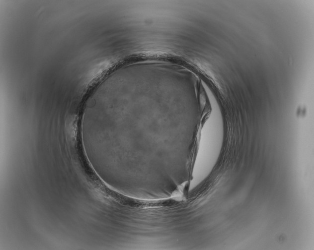 X0000090930495200708131456