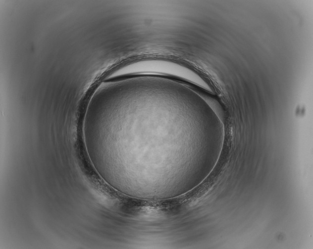 X0000090930496200708131456