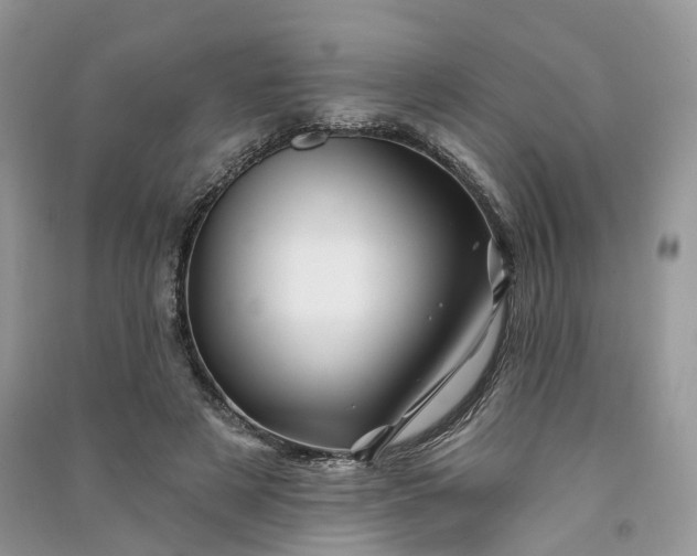 X0000090930497200708131456