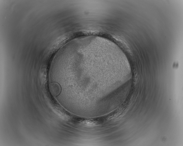 X0000090930498200708131456