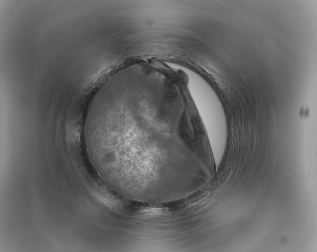 X0000090930499200708131456