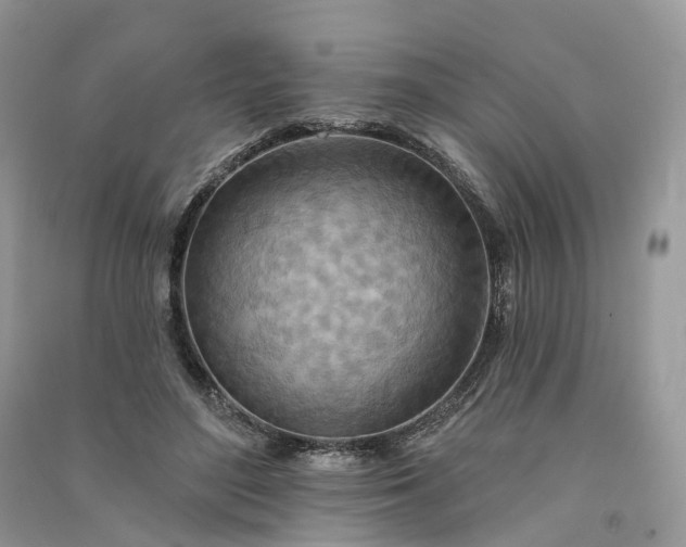 X0000090930500200708131456