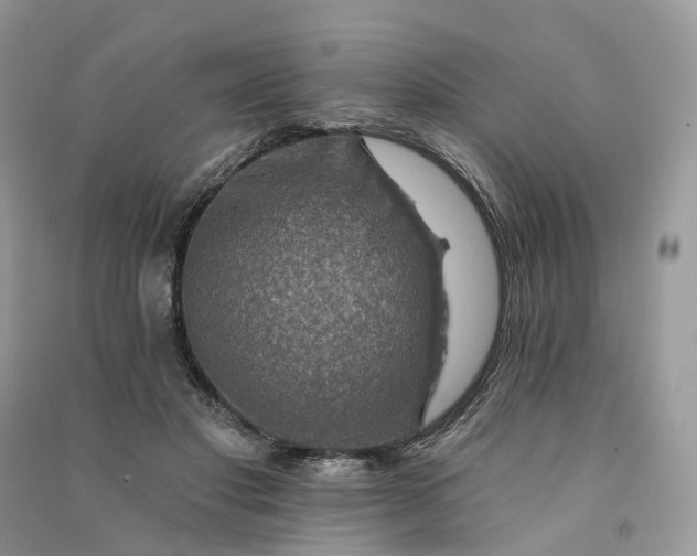 X0000090930501200708131456