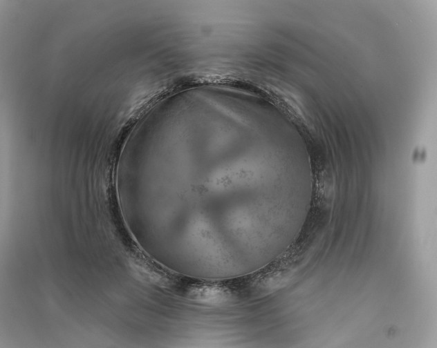 X0000090930503200708131456