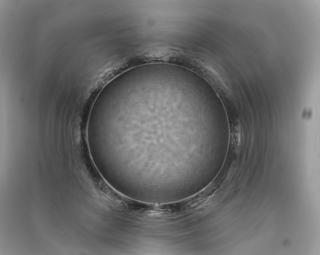 X0000090930504200708131456