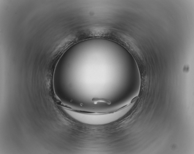 X0000090930505200708131456