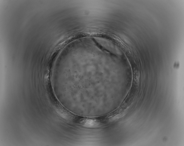 X0000090930507200708131456