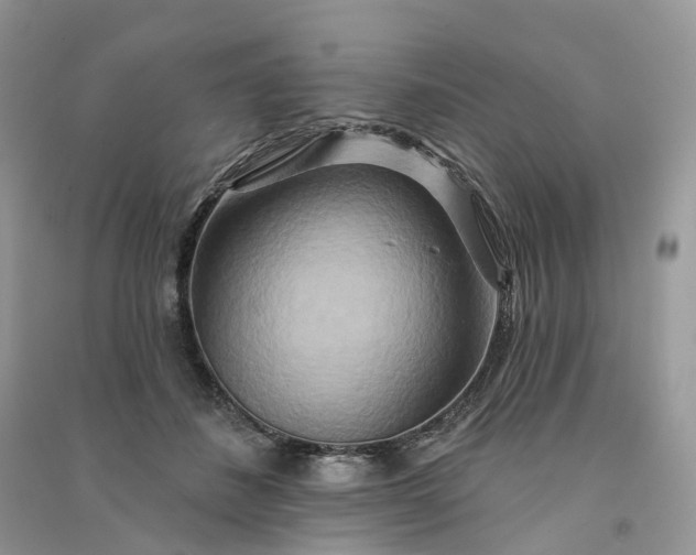 X0000090930508200708131456