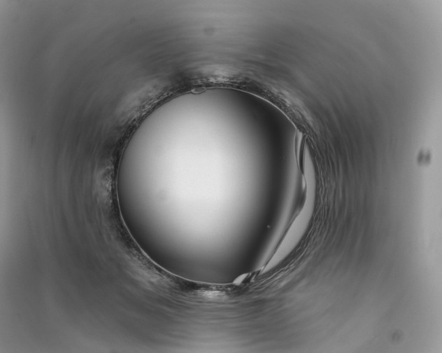 X0000090930509200708131456