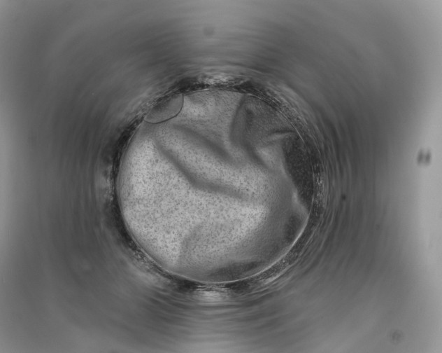 X0000090930510200708131456