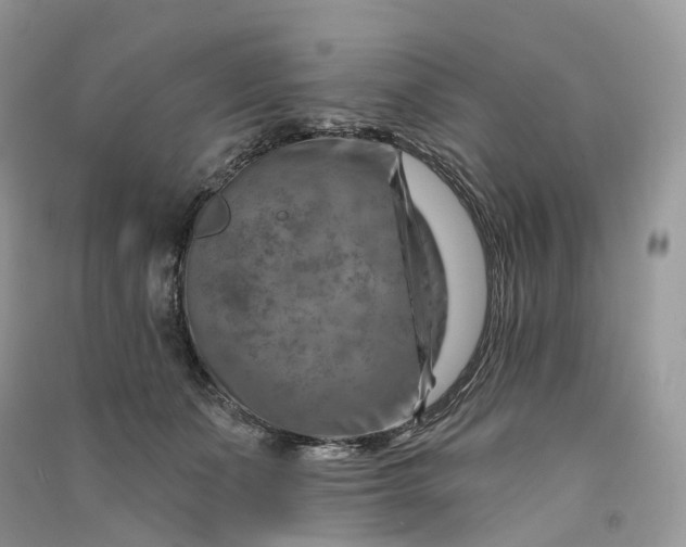 X0000090930511200708131456