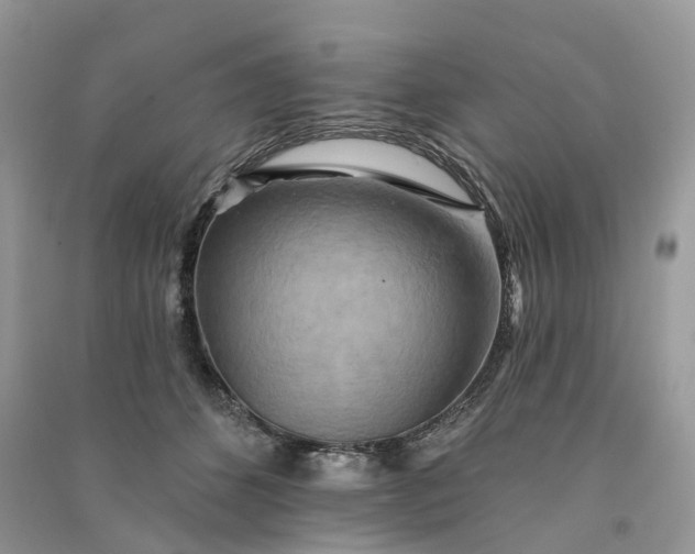 X0000090930512200708131456