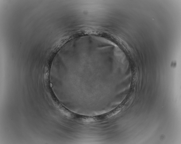 X0000090930513200708131456