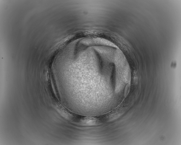 X0000090930514200708131456