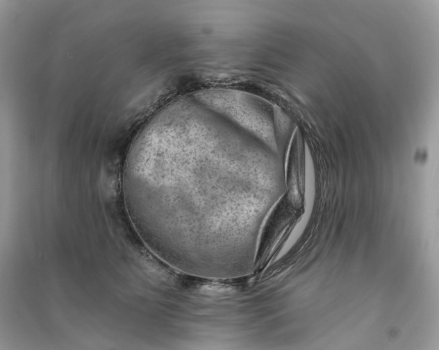 X0000090930515200708131456