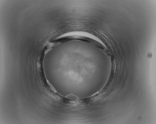 X0000090930516200708131456