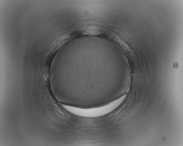 X0000090930517200708131456