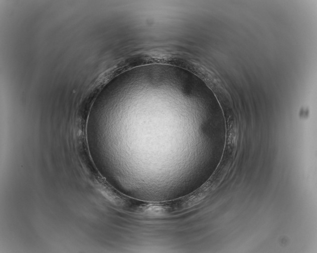 X0000090930518200708131456