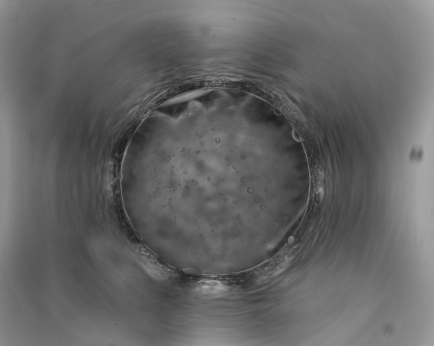 X0000090930519200708131456