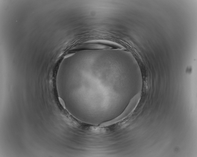 X0000090930520200708131456