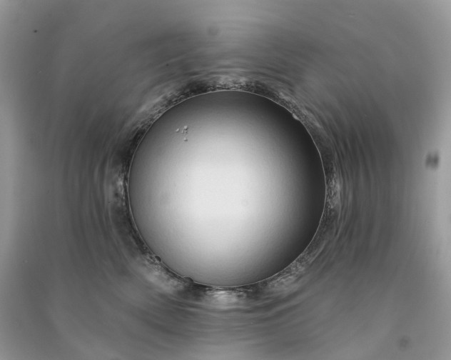 X0000090930522200708131456