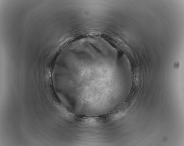 X0000090930523200708131456