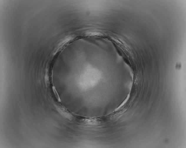 X0000090930524200708131456