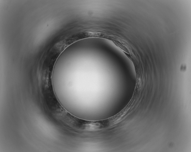 X0000090930525200708131456