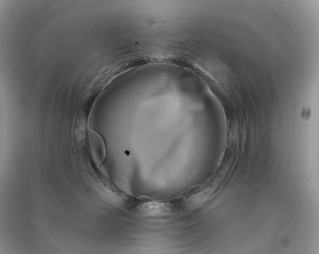 X0000090930526200708131456