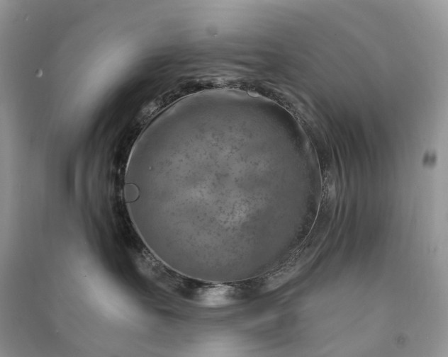 X0000090930527200708131456