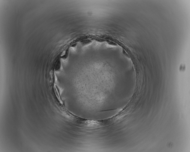 X0000090930528200708131456