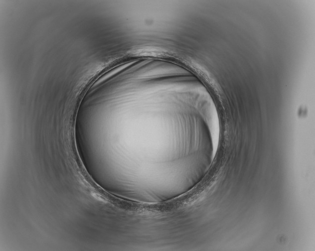 X0000090930529200708131455