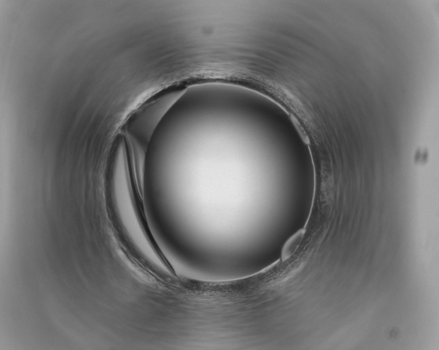 X0000090930530200708131455