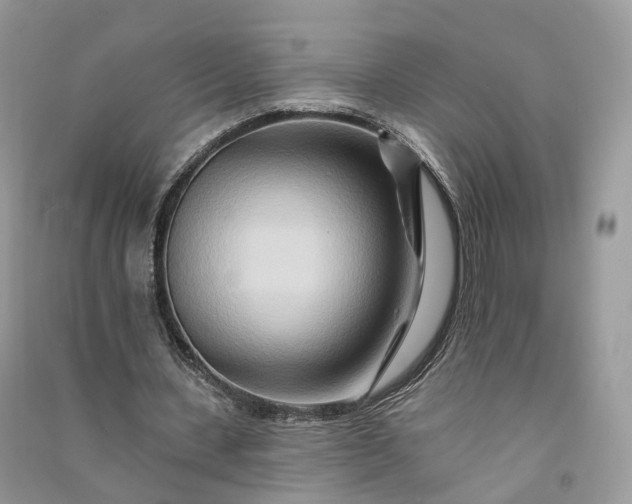 X0000090930531200708131455