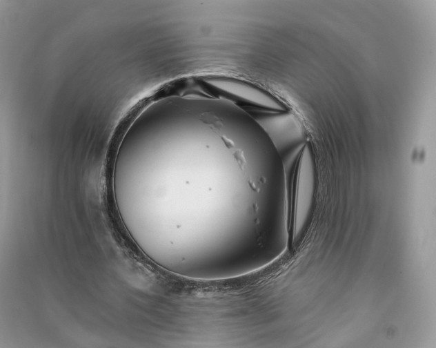 X0000090930532200708131455