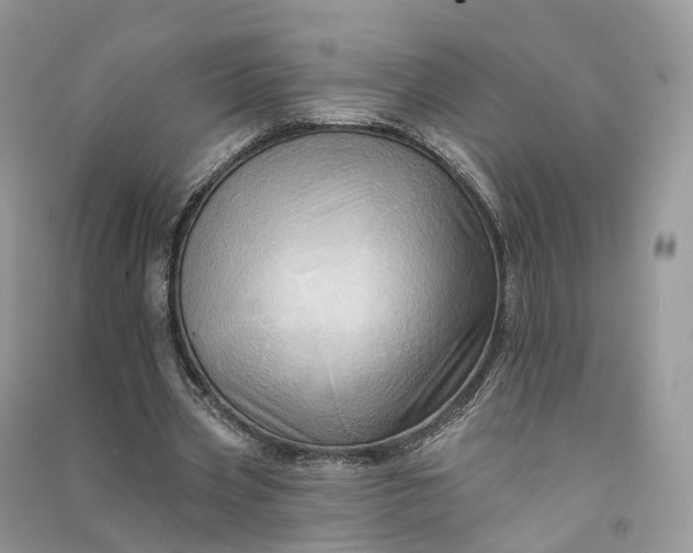 X0000090930533200708131455