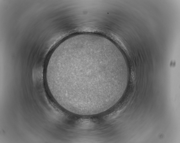 X0000090930534200708131455