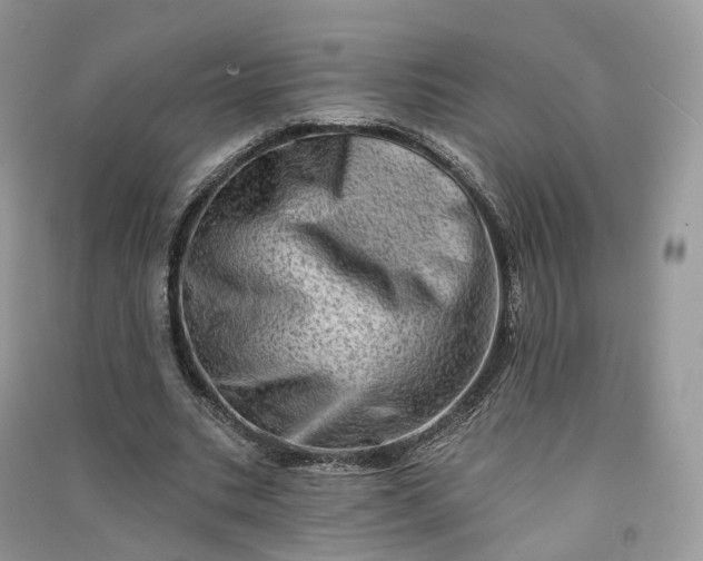 X0000090930535200708131455