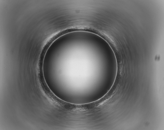 X0000090930536200708131455