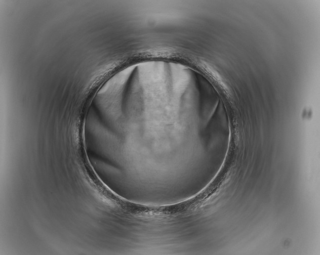 X0000090930537200708131455