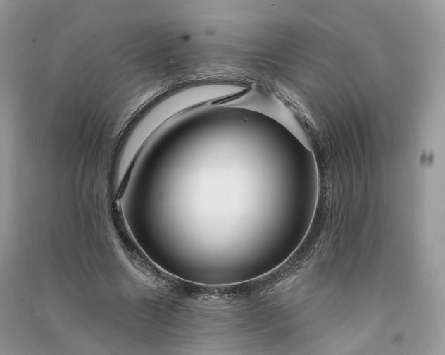 X0000090930538200708131455