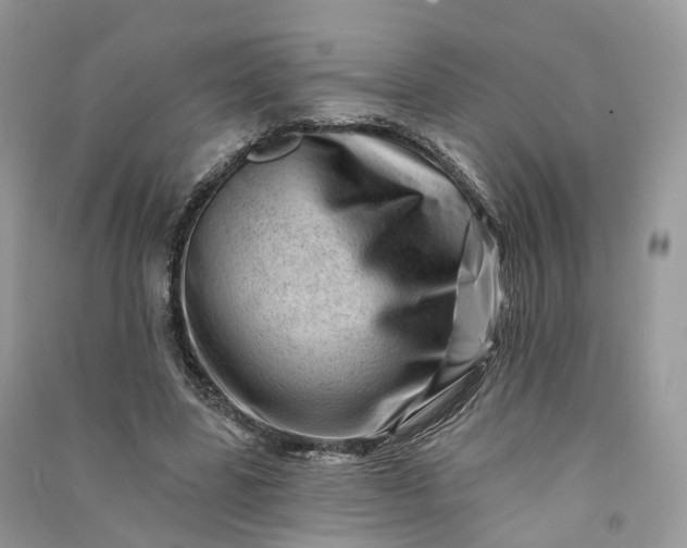 X0000090930539200708131455