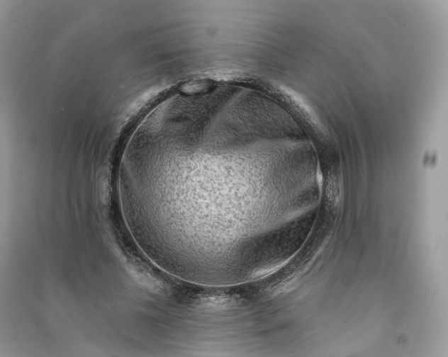 X0000090930540200708131455