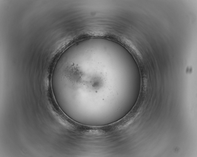 X0000090930541200708131455