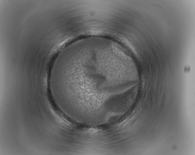 X0000090930542200708131456