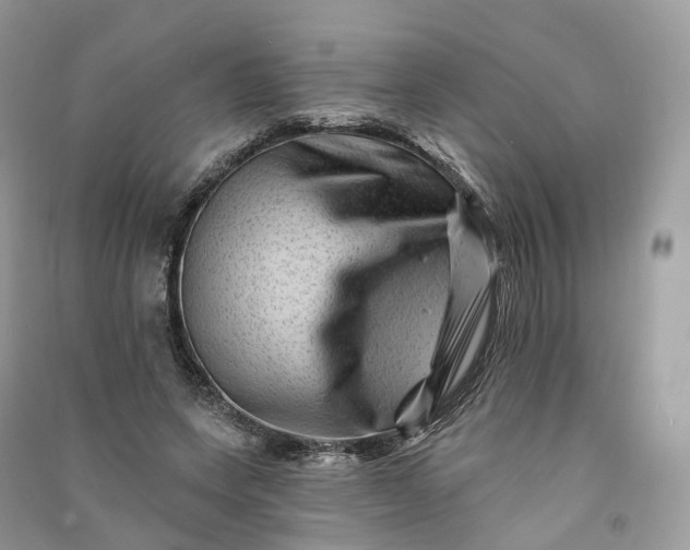 X0000090930543200708131456